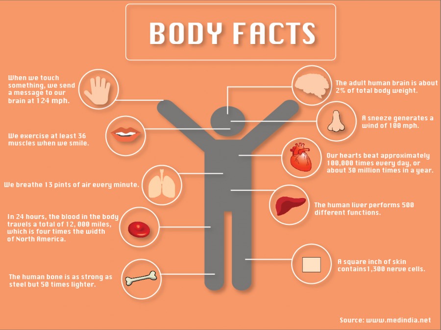 body-facts-tommiemedia