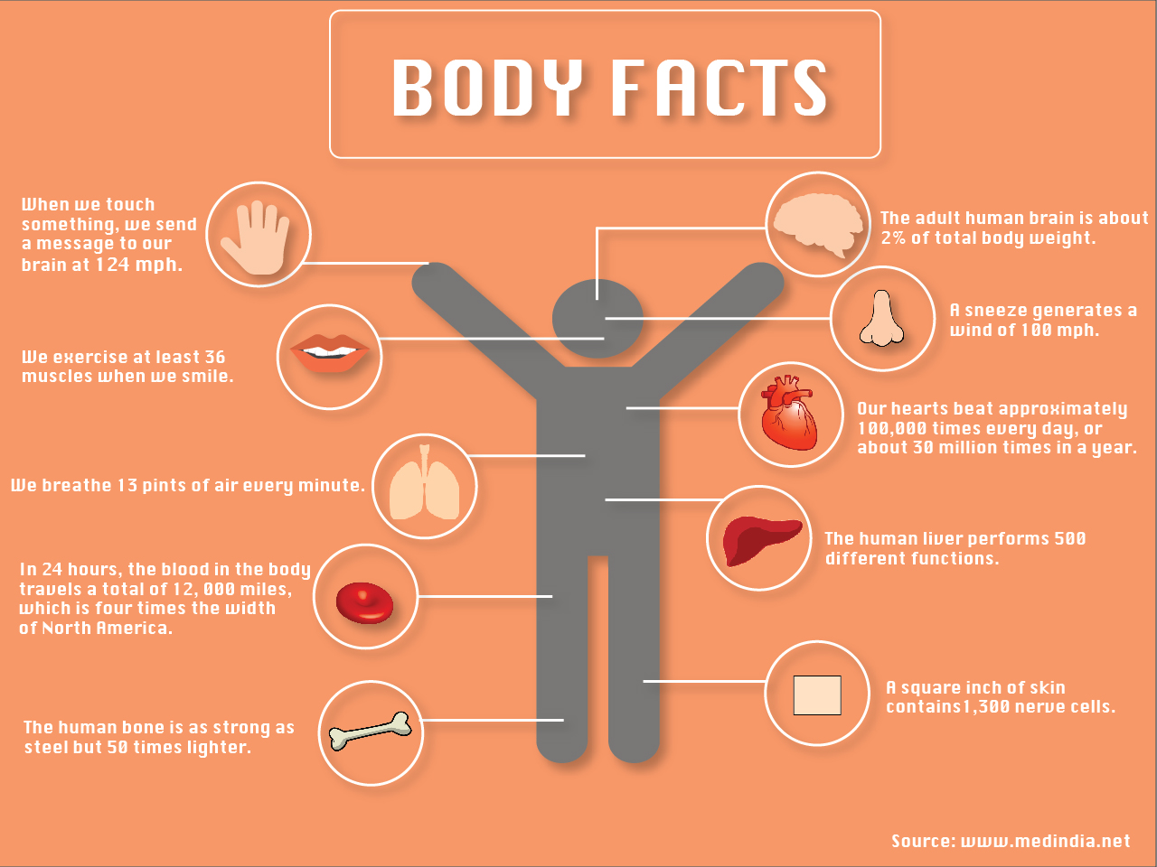 Body Facts TommieMedia