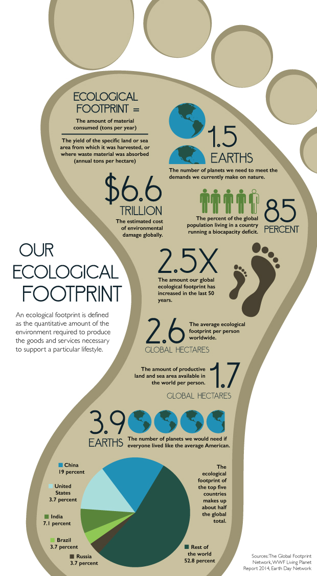 What Is An Ecological Footprint TommieMedia