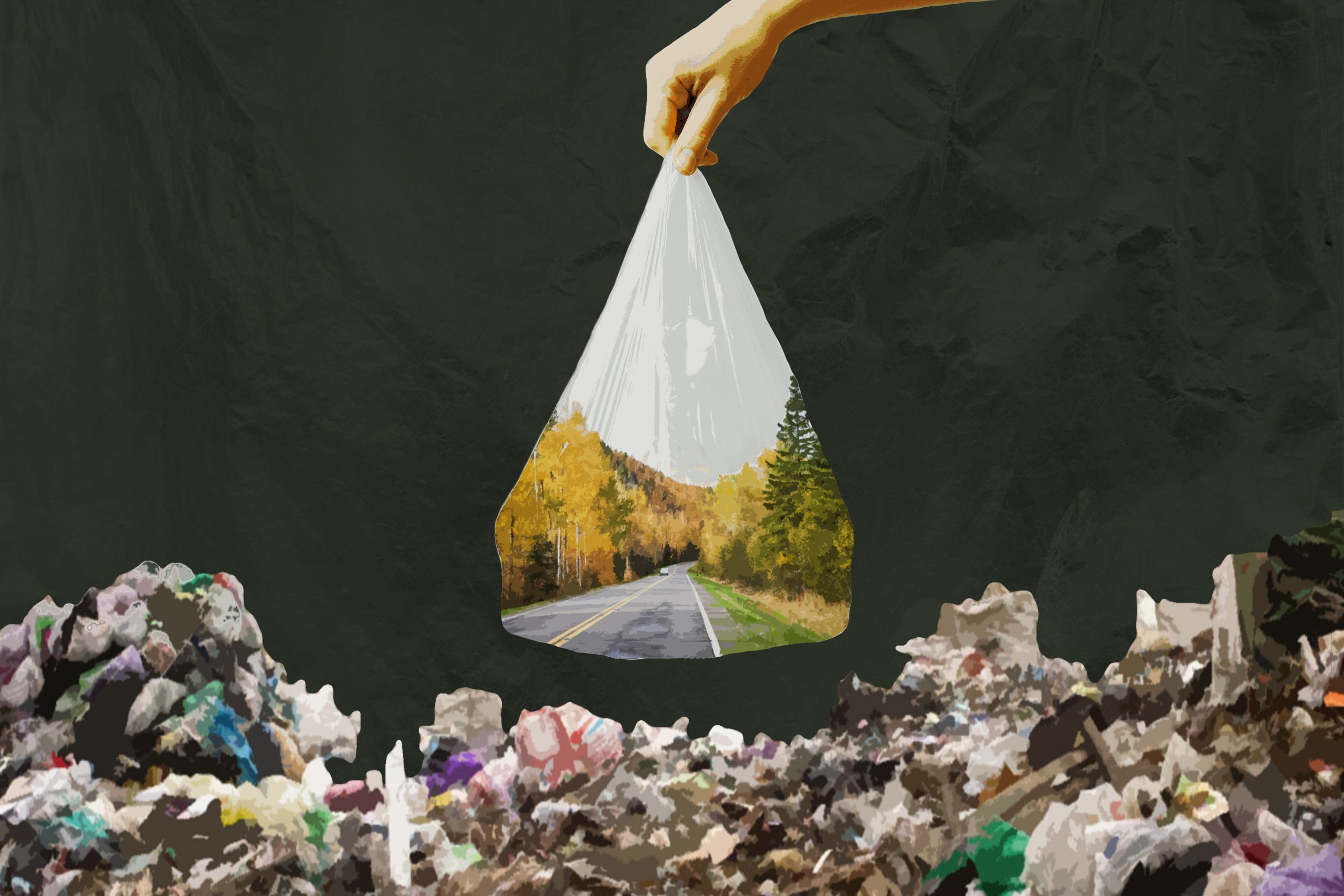 INFOGRAPHIC How Plastic Bags Damage The Environment TommieMedia