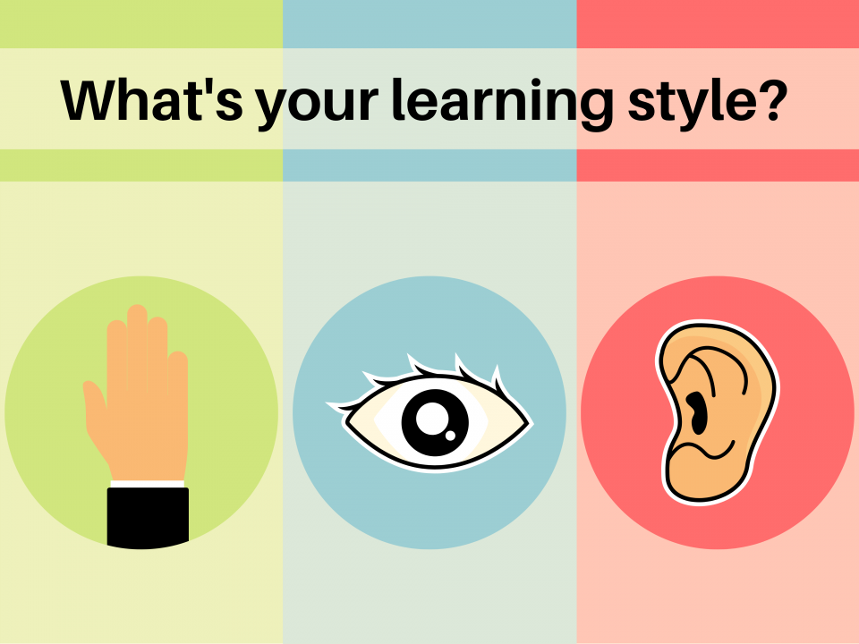 learning style quiz for kids